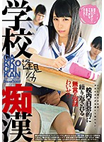 School Slut Rika Aimi