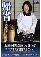 Homecoming - Creampie For A Sexually Frustrated Mom - 帰省～欲求不満の母に中出し [luns-048]