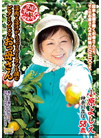 Nationwide Jukujo Sousakutai - Wild Flesh And Lustful Pussy Juice - Orange Picking Mama Full Of Vitamin C And Good For You - 全国熟女捜索隊 淫肉と淫汁がたっぷりのミカンを摘むビタミンCなおっ母さん [isd-39]
