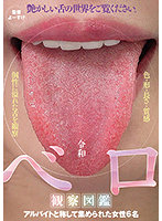 A Field Guide to Reiwa Era Tongues - 令和ベロ観察図鑑 [agmx-097]