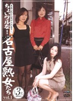 Kinda Dangerous! Mature Women Of Nagoya vol. 1 - ちょいワルな！名古屋熟女たち vol.1 [djnb-07]