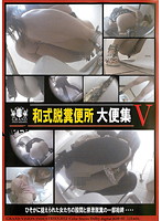 Shitting in the Japanese Style Toilet, Shit Collection 5 - 和式脱糞便所 大便集 5 [dgdb-05]