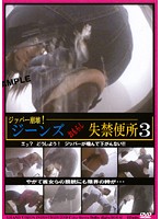 Jeans Pissing, Toilet Incontinence 3 - ジーンズおもらし失禁便所 3 [dgjg-03]