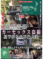 Exhibitionists Fucking In The Open Air: Car Sex Voyeur - 露出青姦 カーセックス盗撮 [lhbb-098]