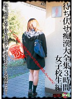 Molester Ambush Complete 3 Hour Collection Schoolgirl Edition - 待ち伏せ痴漢大全集3時間 女子校生編 [ktdv-167]