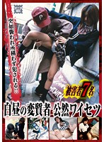 Perverts in Broad Daylight Public Filthy Acts - 白昼の変質者 公然ワイセツ [ktdv-223]