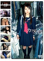 Barely Legal (325) Price Of Your Body; Young Girl's Inexperienced Sex 62 - 未成年（三二五）カラダの価格 少女と青い性 62 [gs-682]