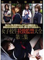 The Abduction And Confinement Of A Schoolgirl - Complete Works - Collection Three - 女子校生拉致監禁大全 第三集 [m-1731]