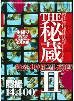 THE Treasure 2 - 24 Scenes 4 Hours of Hot Wives - THE秘蔵 2 熟妻4時間24連発！！