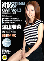Creampie PUSSY CAT VOL.3 Wakana Toyama - 中出しプッシーキャット VOL.3 [mobcp-006r]