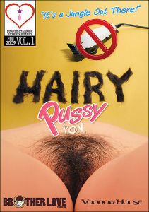 Hairy Pussy POV 1
