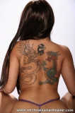 photo gallery 002 - photo 014 - Dragon Lilly, western asian pornstar. also known as: Dragon Lily